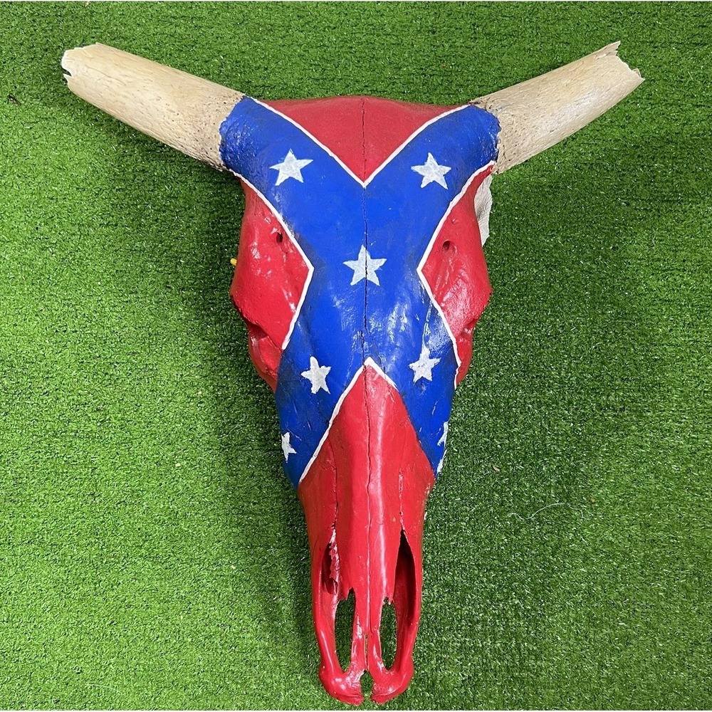 Real Bull Skull With Horns, Cow Skull, Hand Painted  US History Civil War Flag